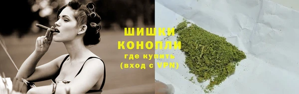 винт Богданович