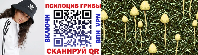 Галлюциногенные грибы Magic Shrooms  купить наркотики сайты  Вихоревка 